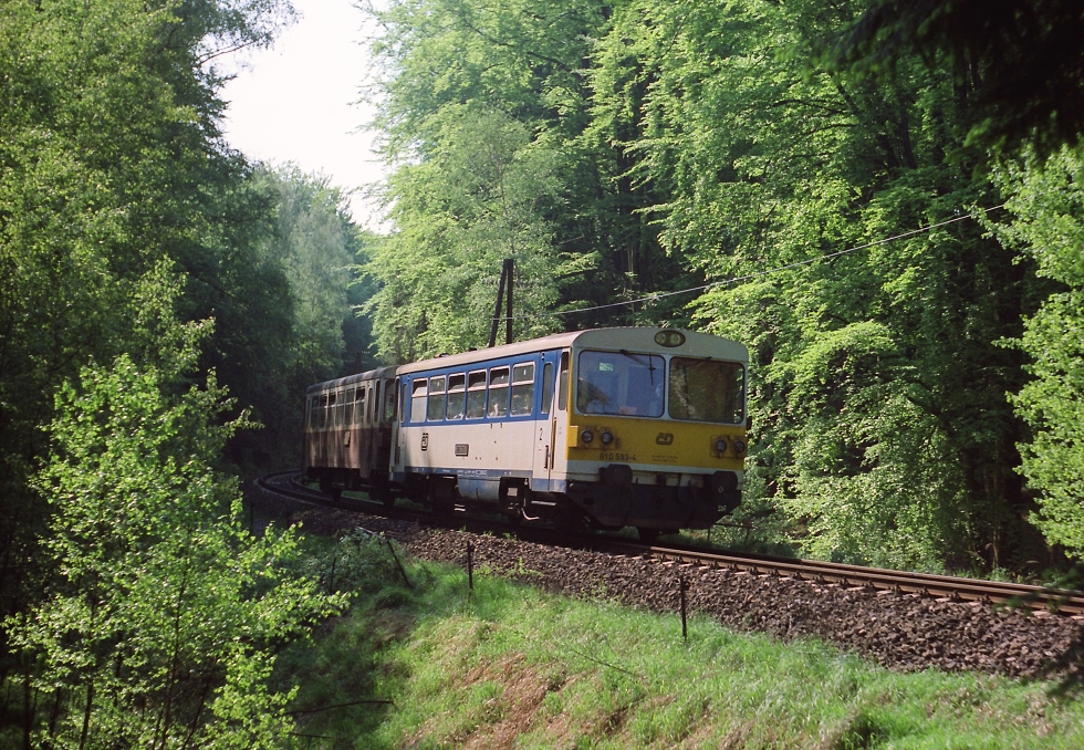 810 593-4