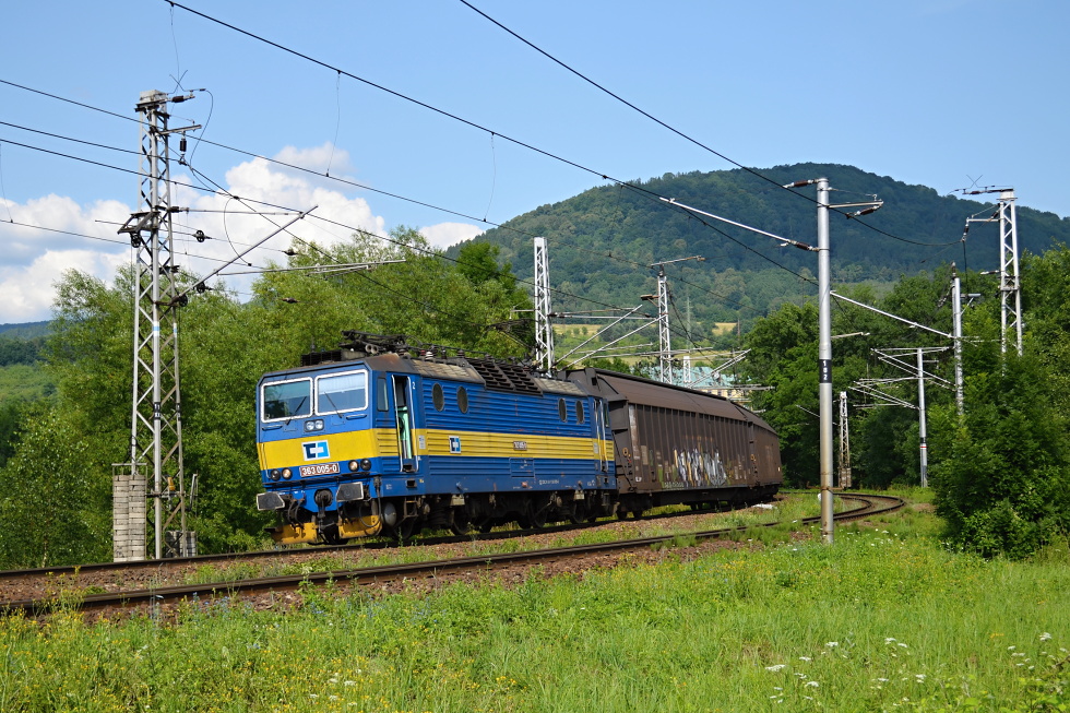 363 005-0
