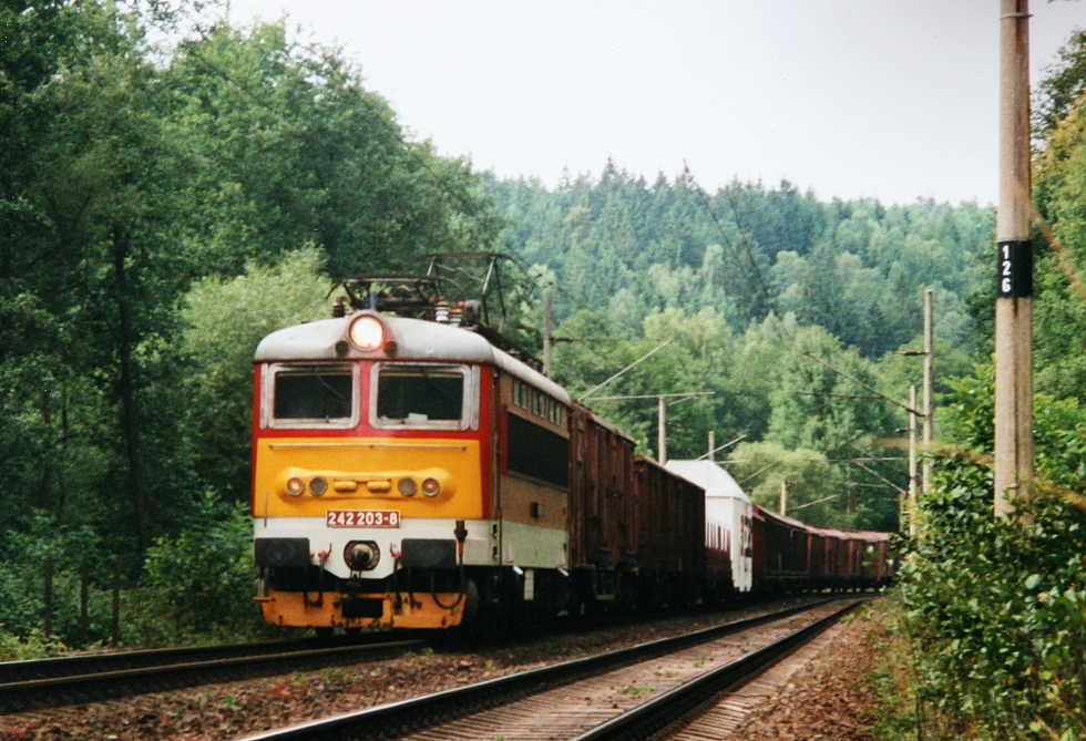 242 203-8