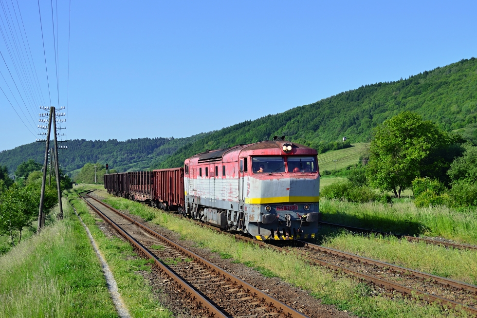 751 113-2