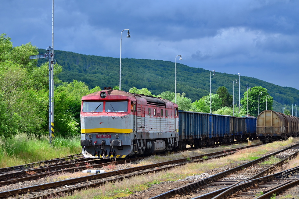 751 113-2