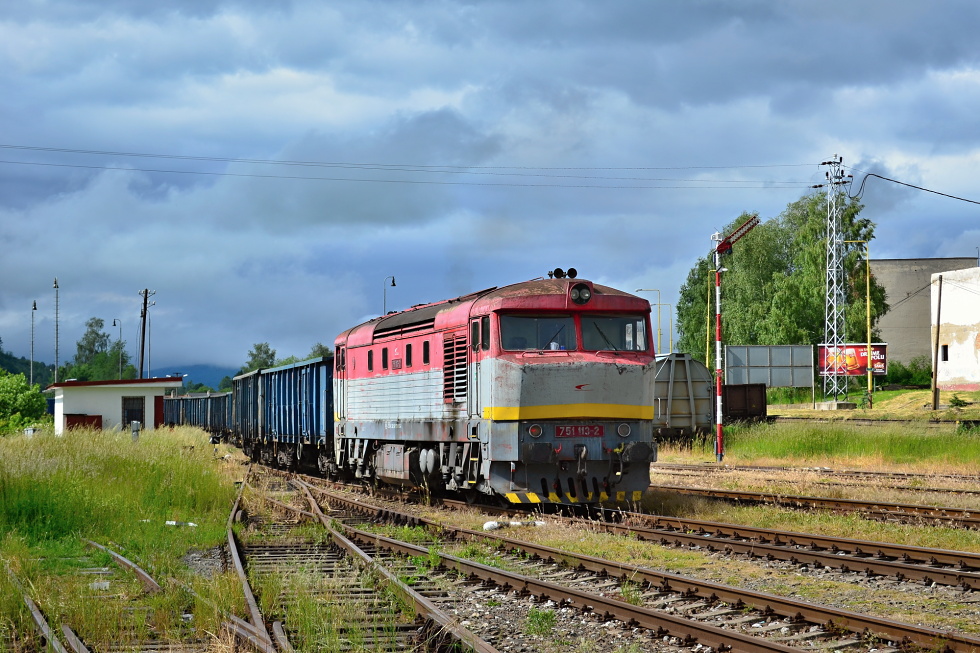751 113-2