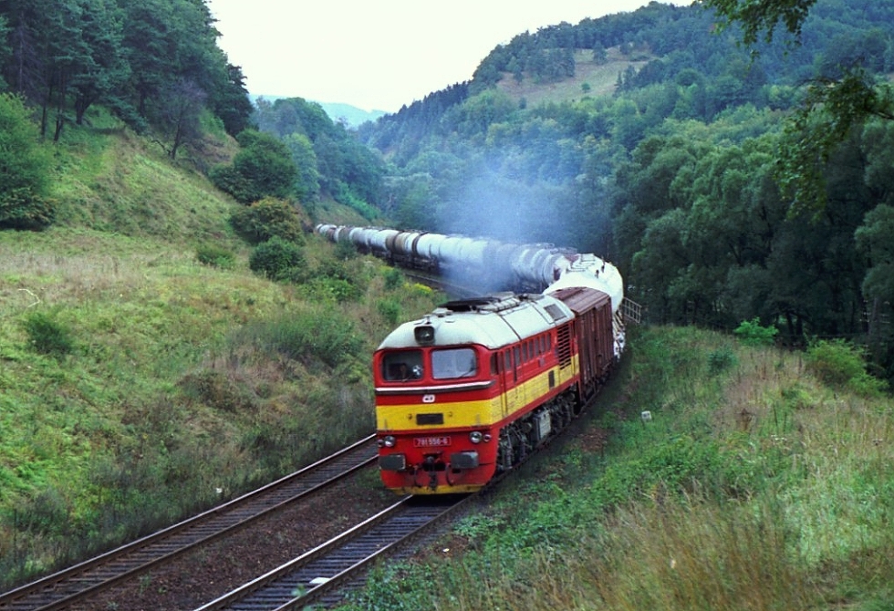 781 556-6