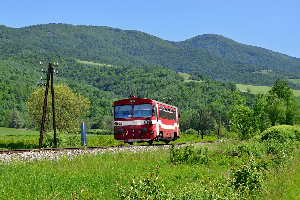 812 025-9