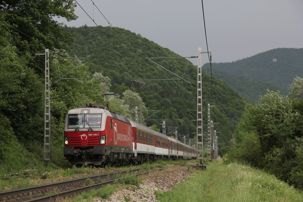 383 102-1
