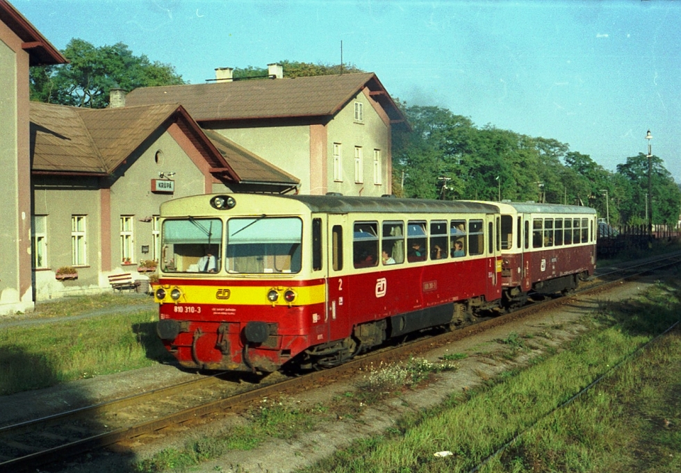 810 310-1