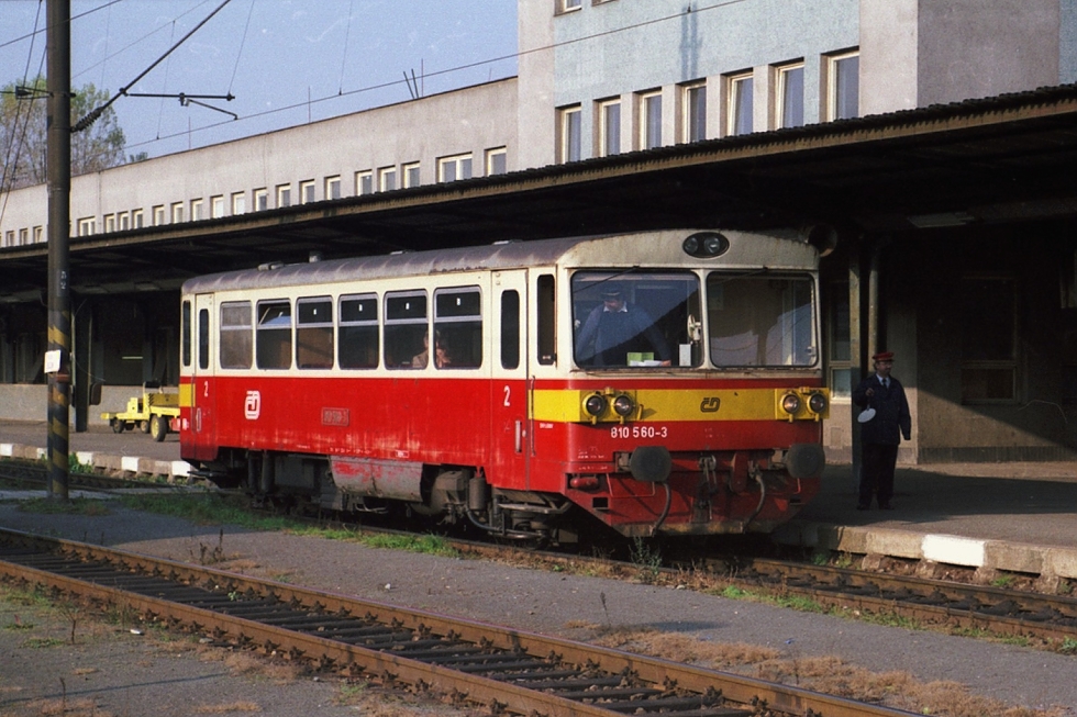 810 560-3