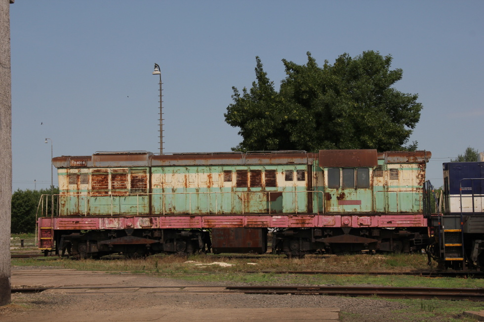 771 801-8