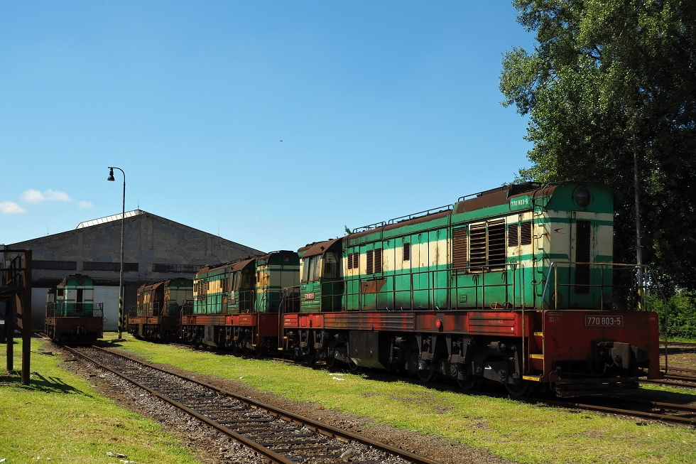 770 803-5