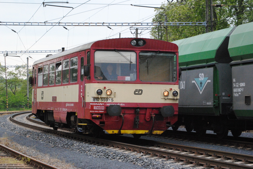 810 559-5