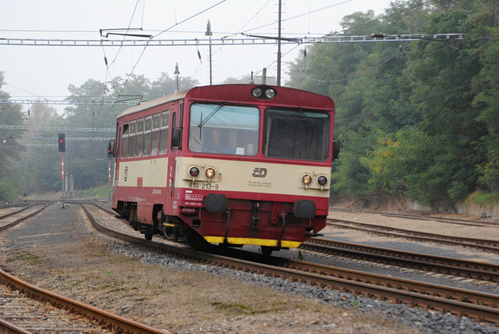 810 213-9