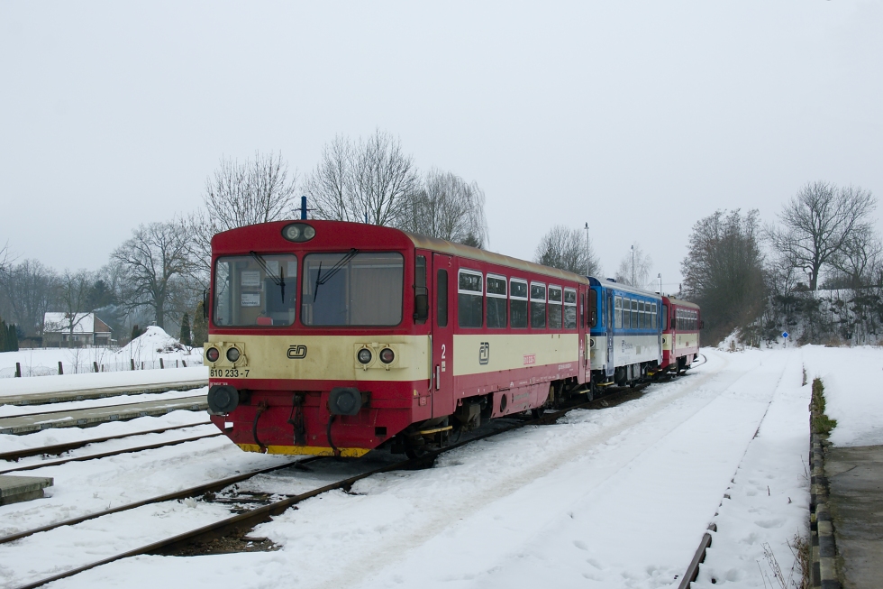 810 233-7