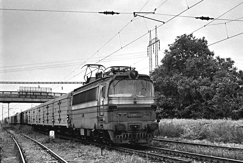 S499.0019