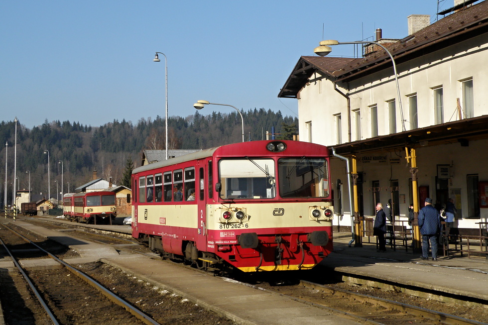 810 262-6