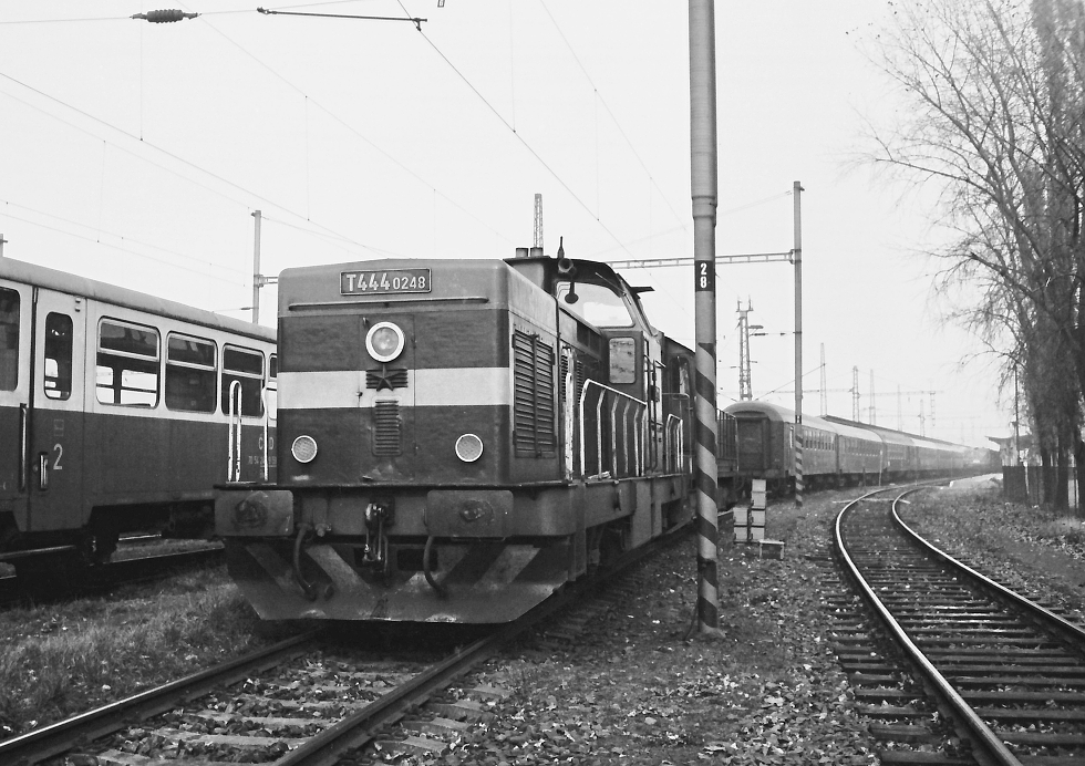T444.0248