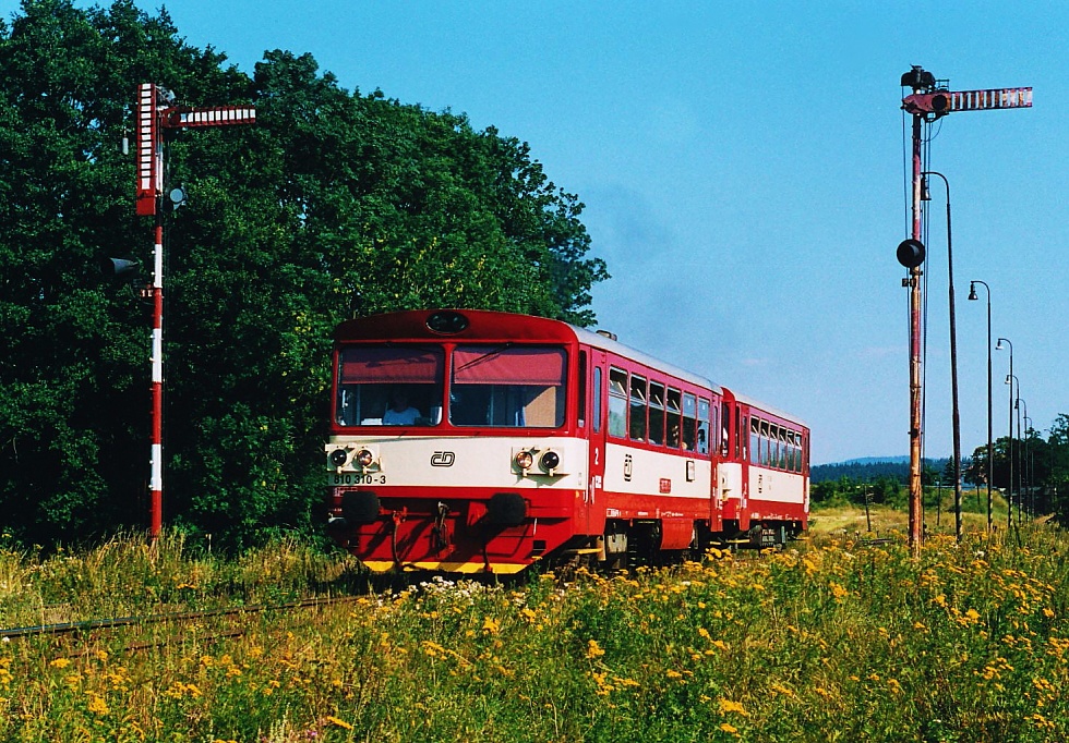 810 310-3