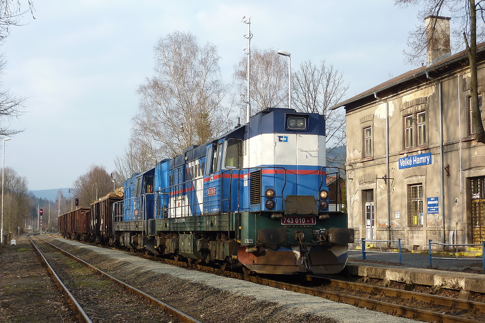 743 010-1
