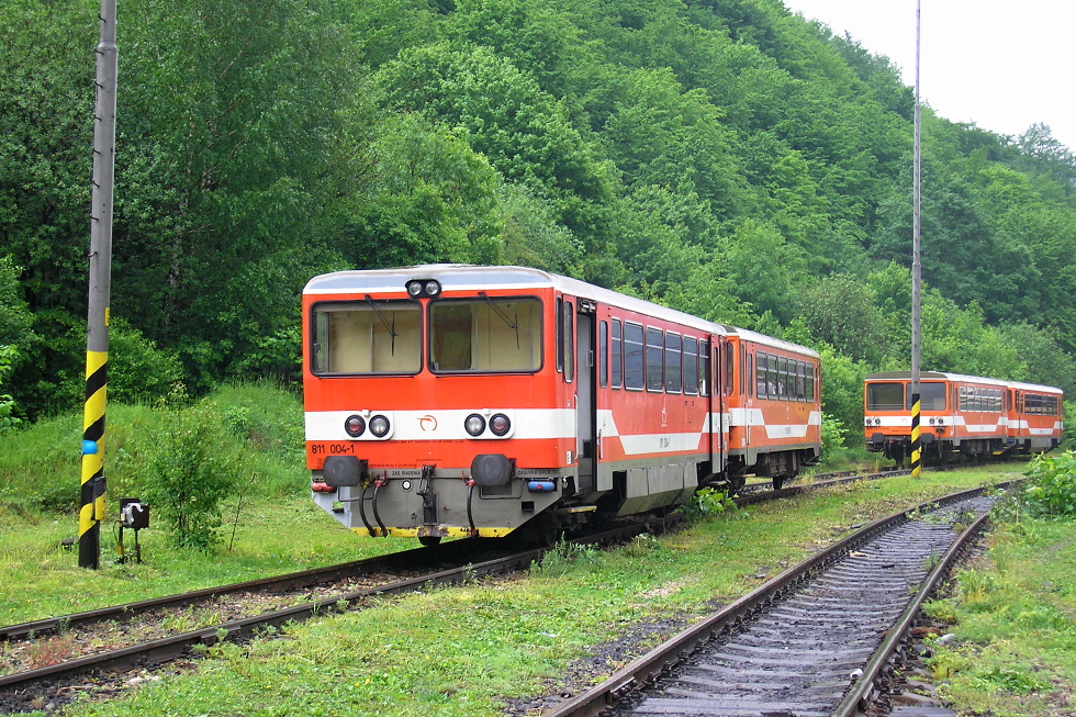 811 004-1