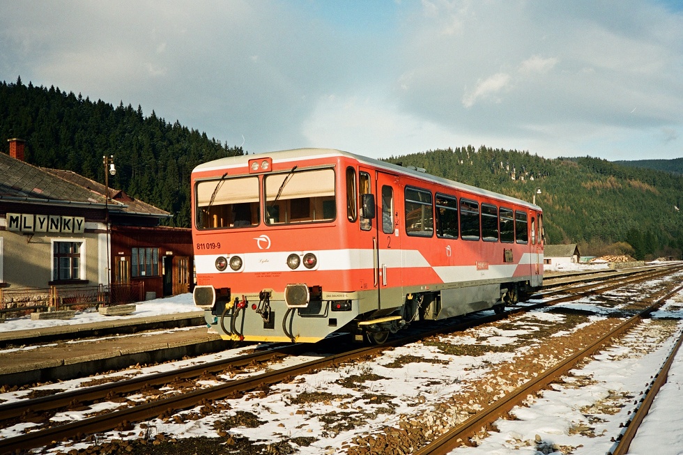 811 019-9
