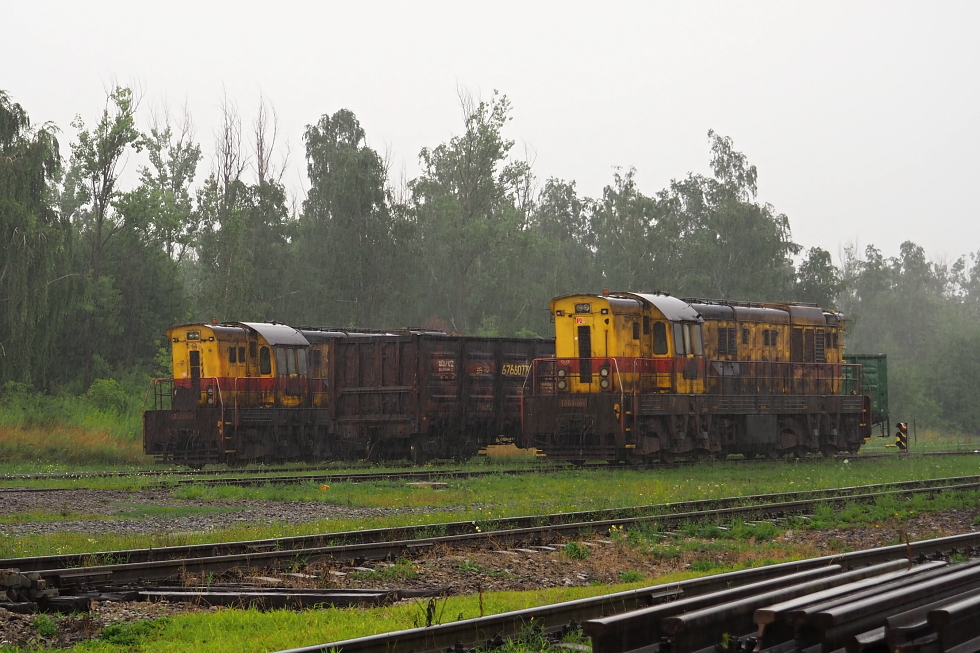 770 815-9