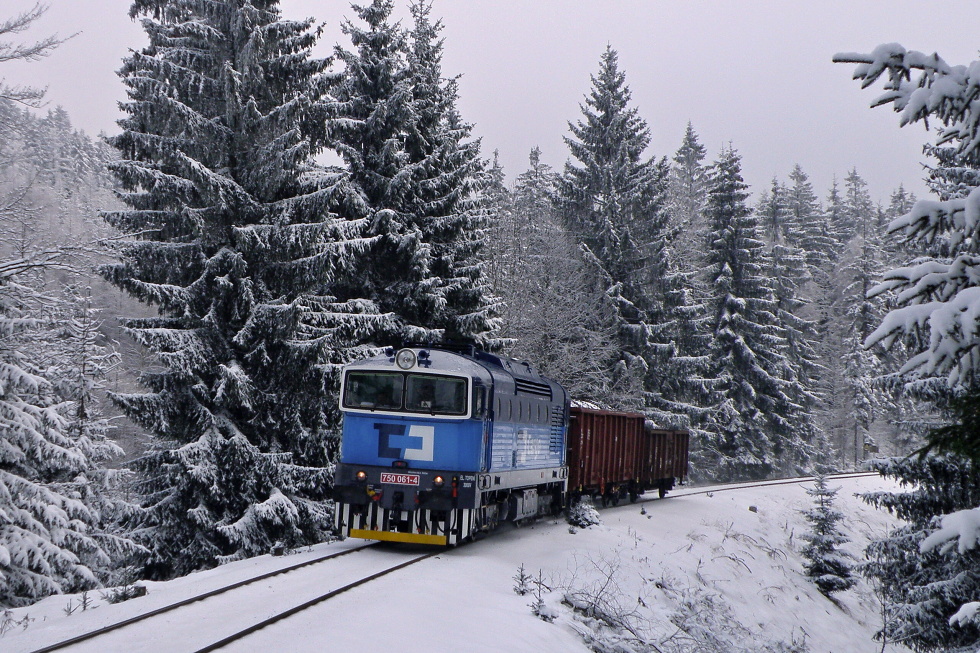 750 061-4