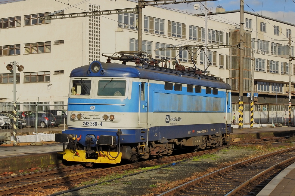 242 238-4