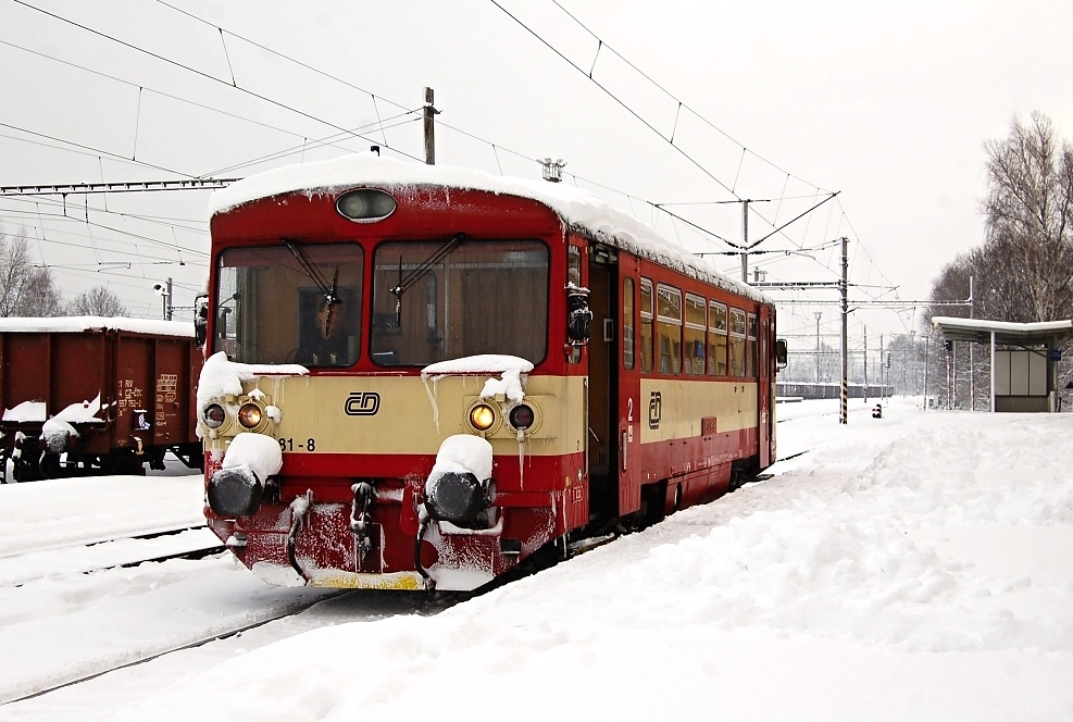 810 181-8