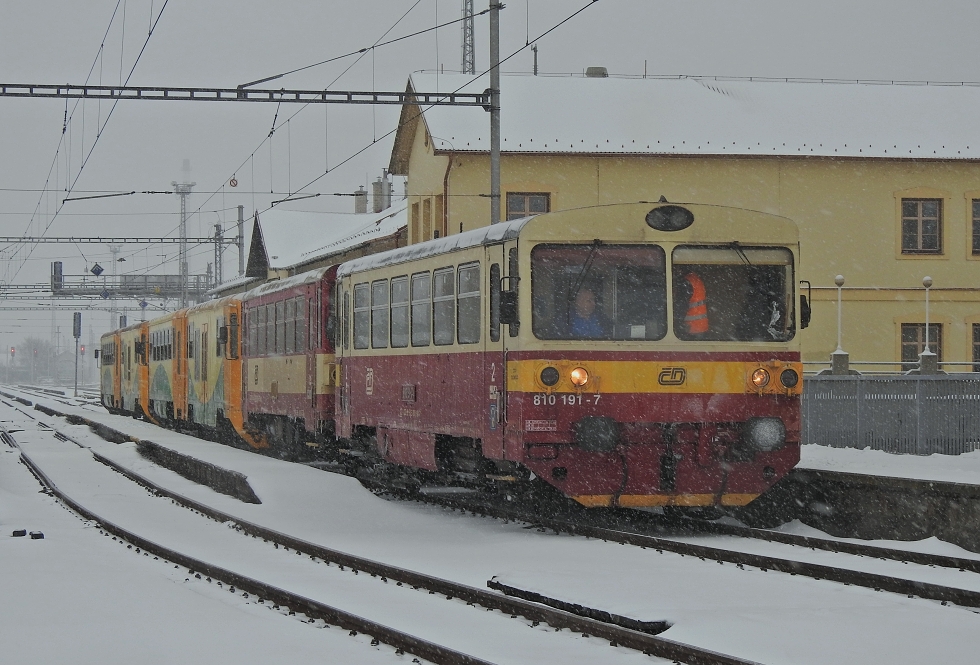 810 191-7
