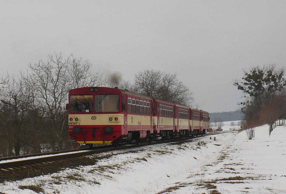810 664-3