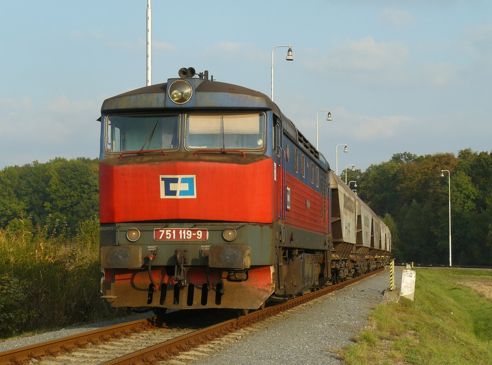 751 119-9