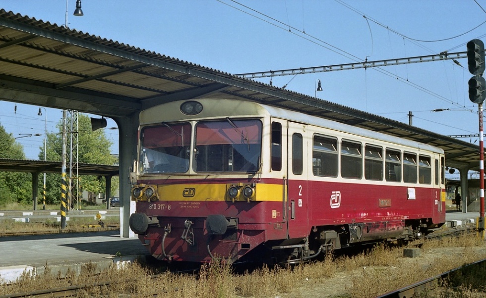 810 317-8
