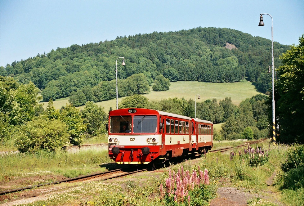 810 204-8