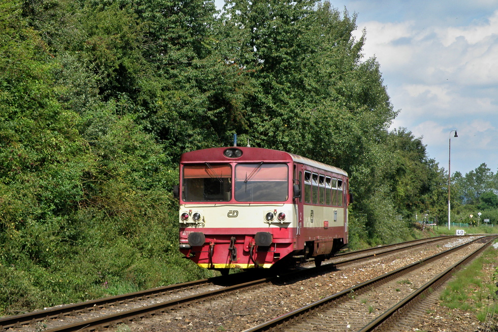 810 369-9
