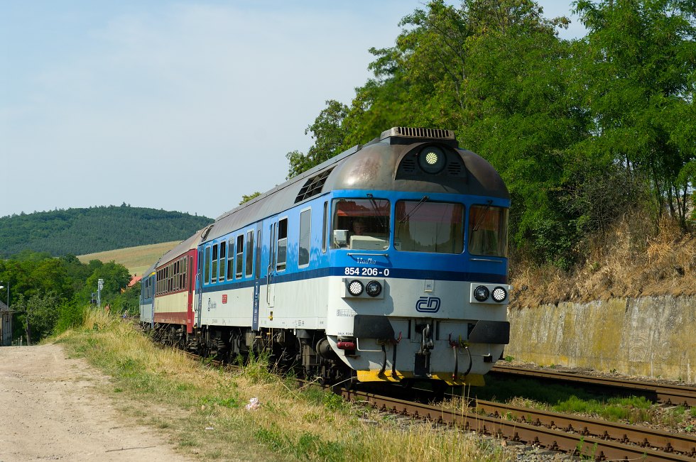 854 206-0