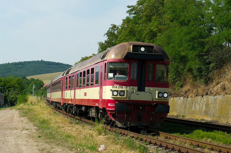 854 216-9