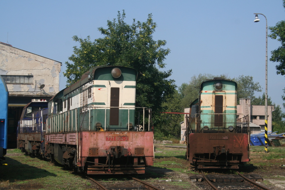 771 804-2