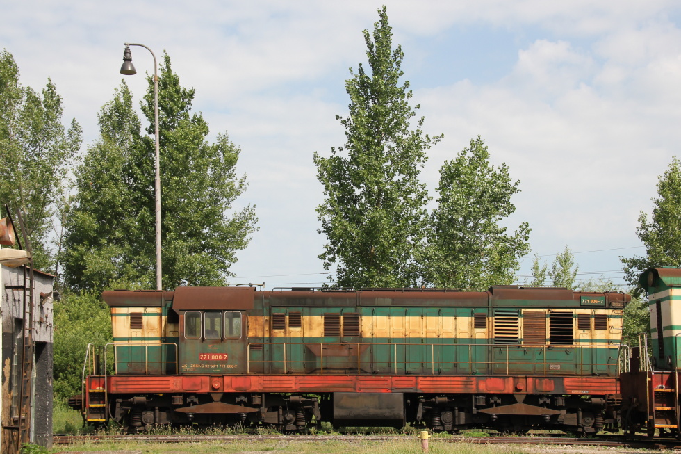 771 806-7