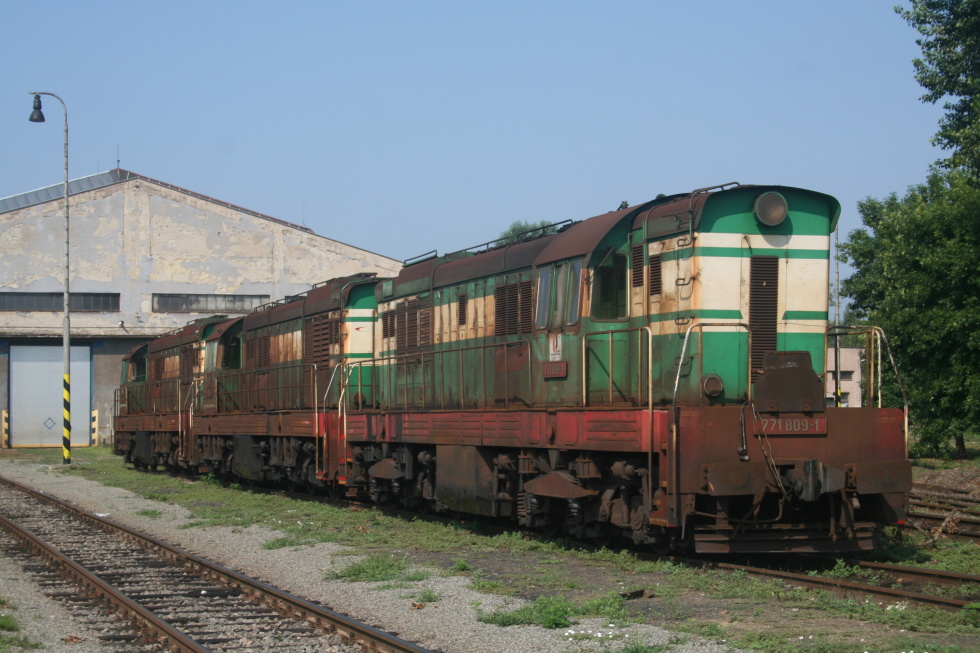 771 809-1