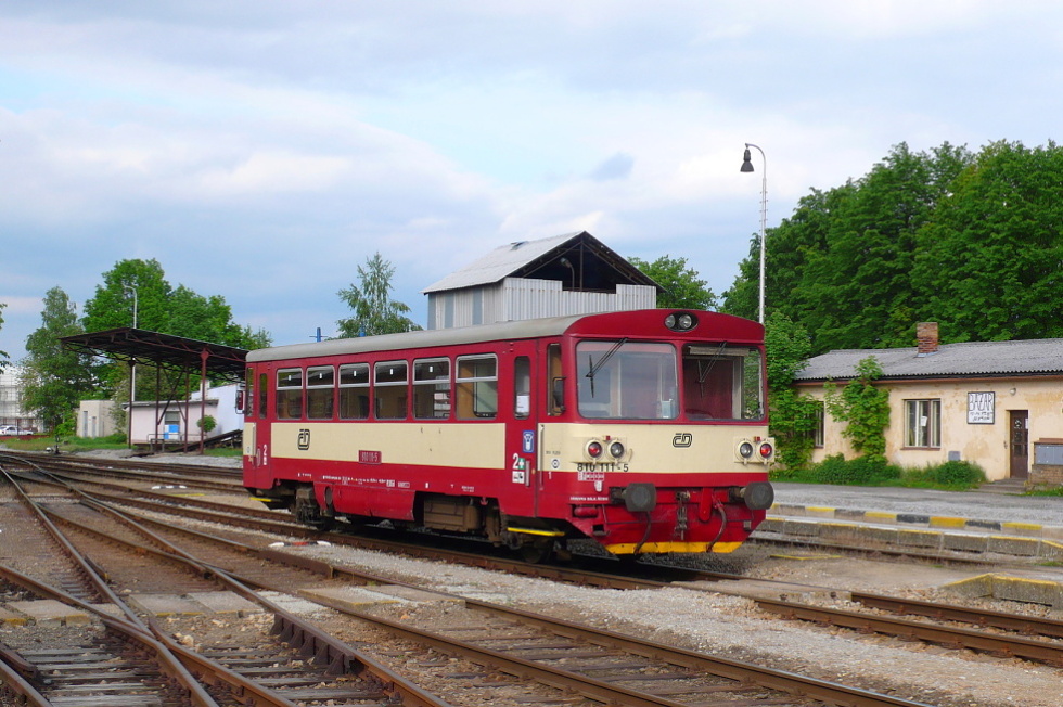810 111-5