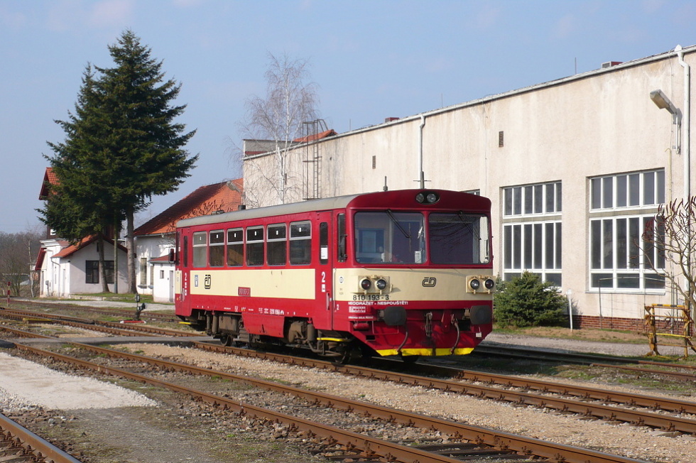 810 193-3