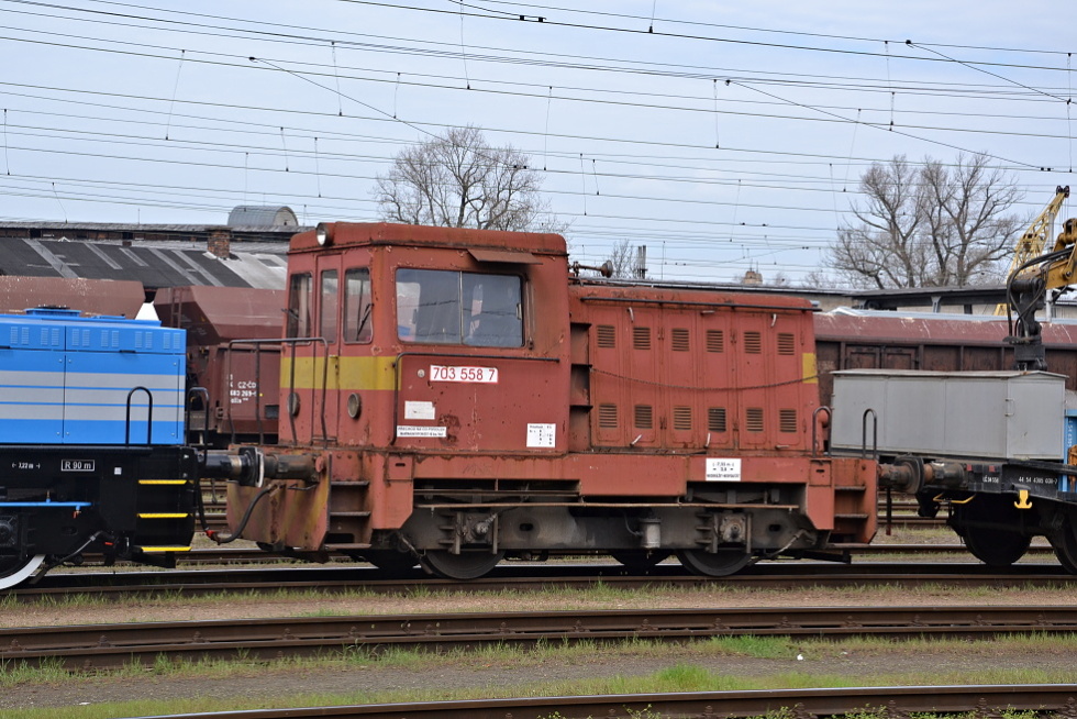 703 558-7