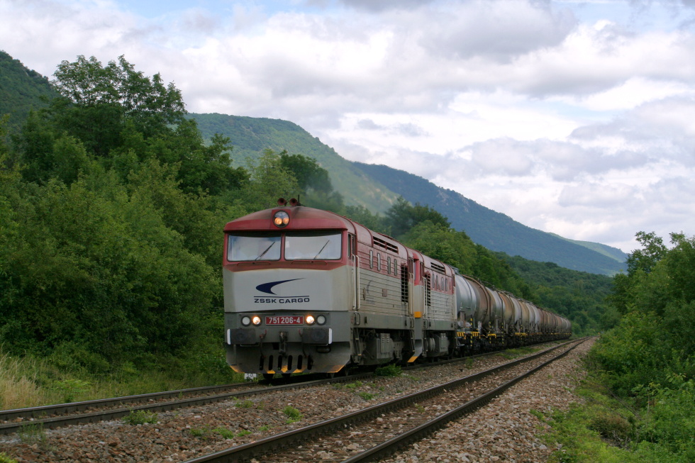 751.206-4