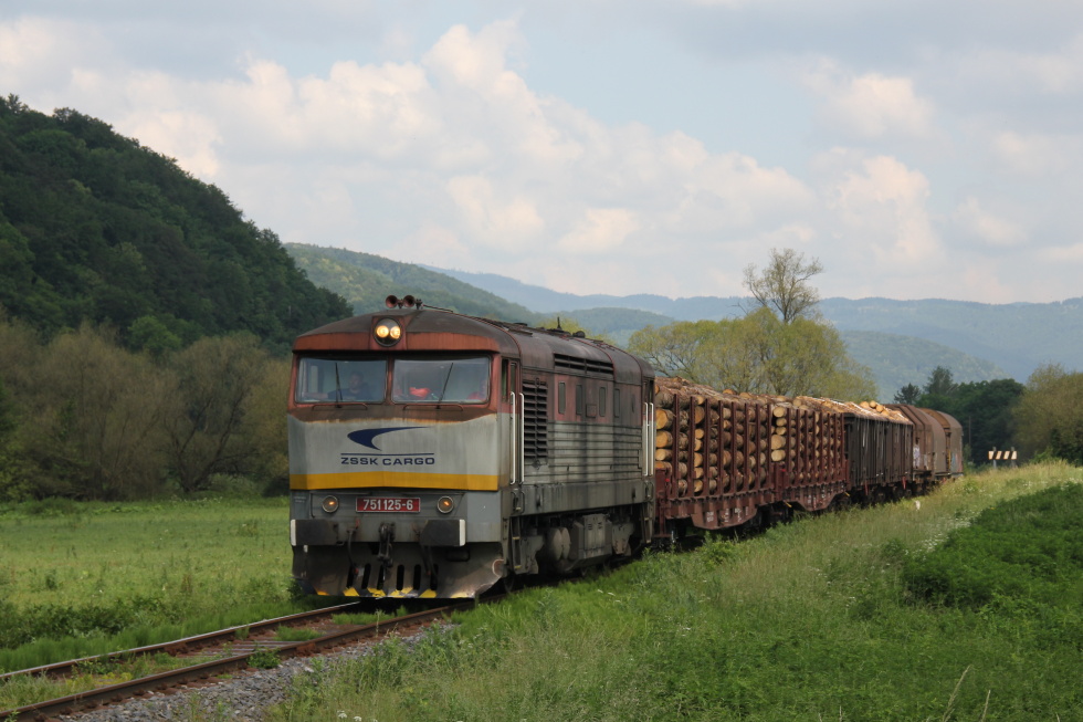 751 125-6