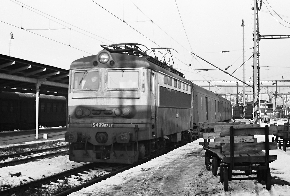 S499.0247