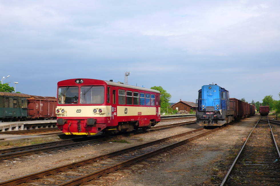 810 194-1