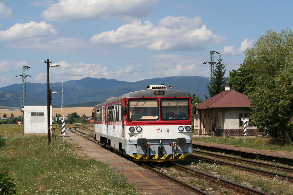 813 010-0