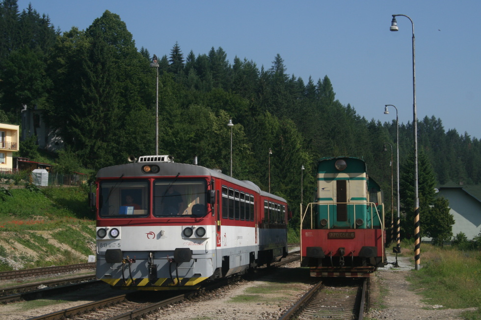 813 017-5