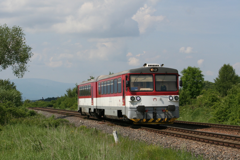 813 029-0