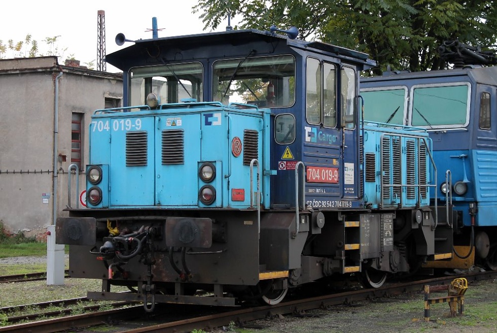 704 019-9