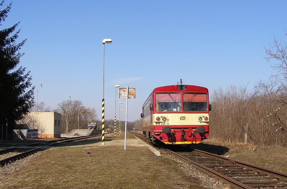 810 222-0